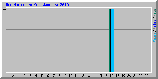 Hourly usage for January 2010